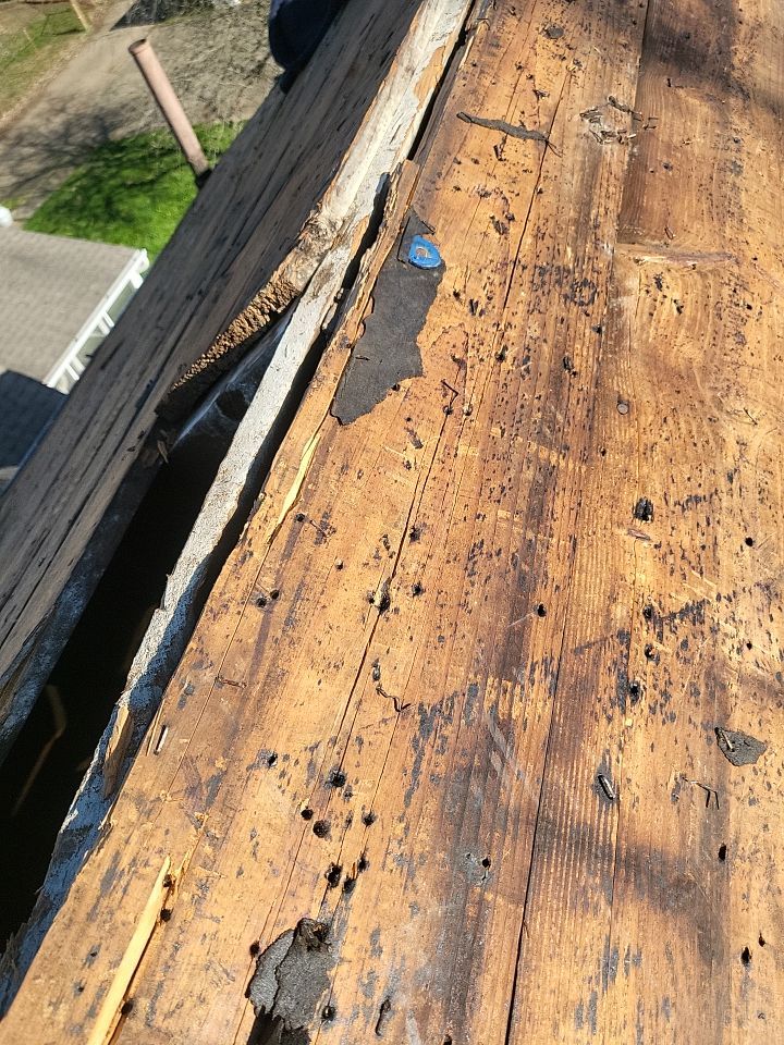 ATLAS PINNACLE COLOR: WEATHERED WOOD DRIP EDGE: MUSKET BROWN by Eagle Eye Roofing