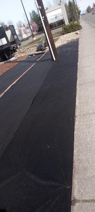 Panda Express | Striping  by Jireh Asphalt & Concrete Inc 