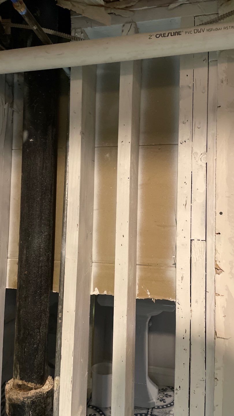 Mold Remediation  by Accountable Home Services