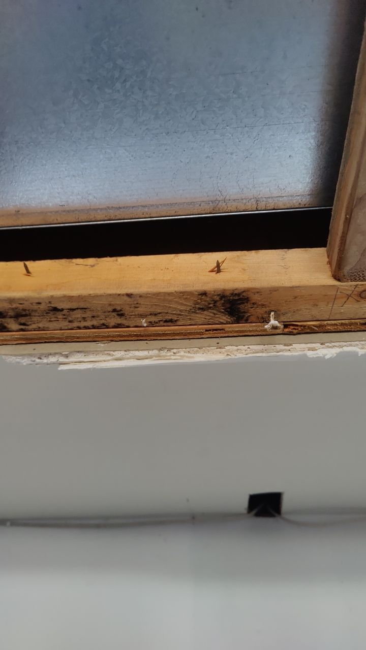 Water Damage  by Accountable Home Services