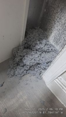 Dryer Vent Cleaning in Clermont