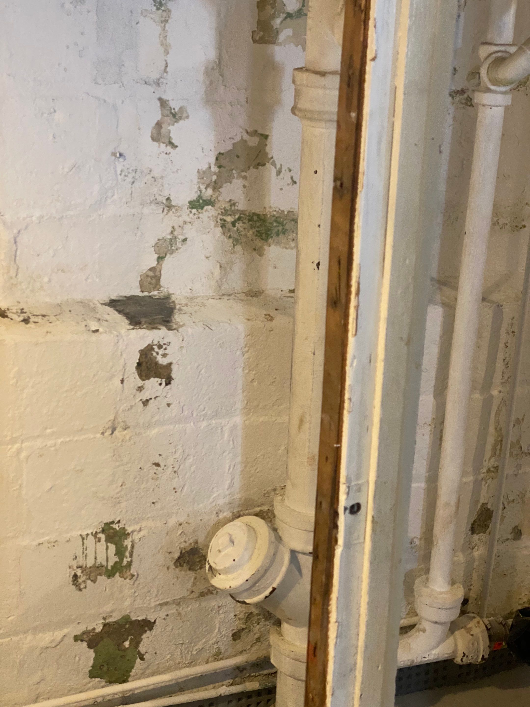 Interior French Drain Job in Bloomfield, NJ by Pure Service Pro, LLC 