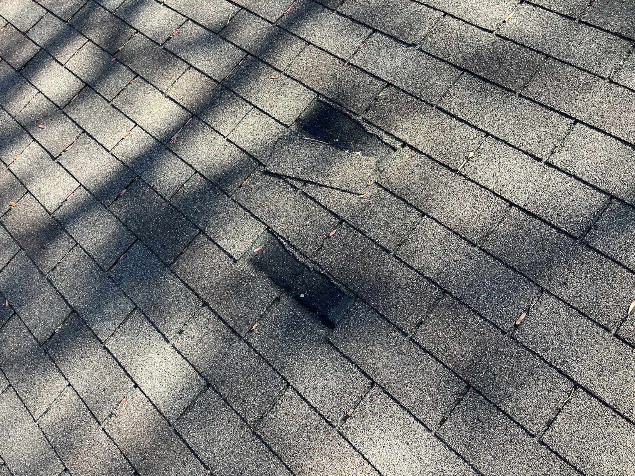 Shingle -> Shingle by Prime Roofing