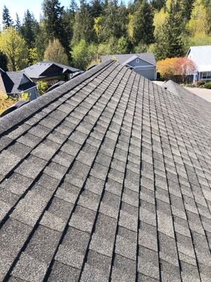 Project in Bellingham