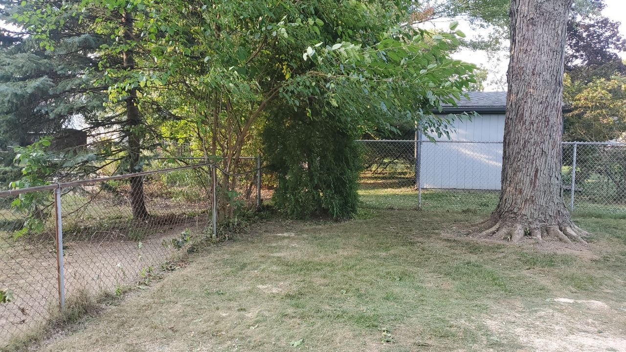 Oak Tree Removal by Mike Jones & Sons Tree Service LLC 