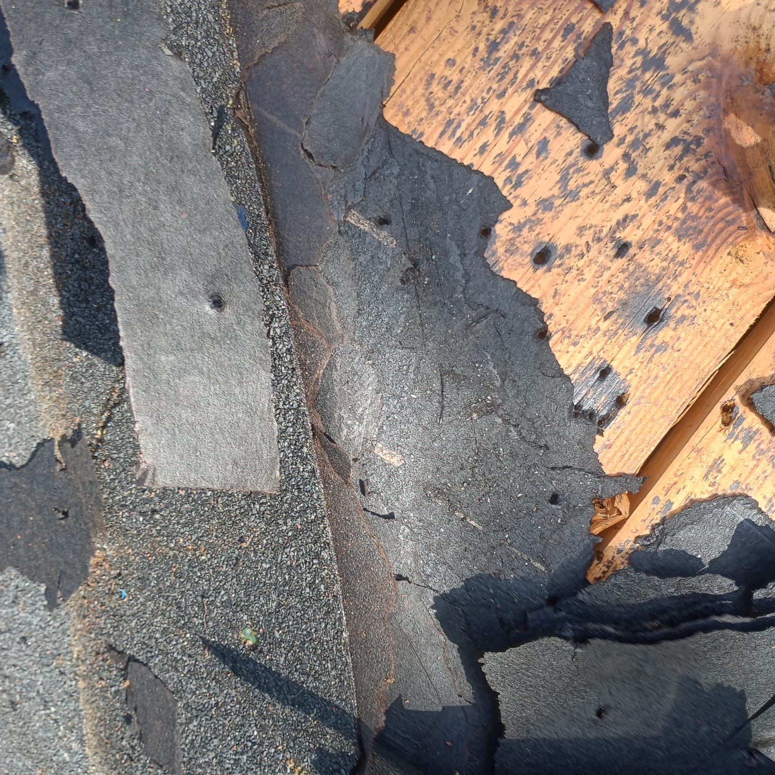 Superior Roofing Solutions: Atlas Pinnacle Pristine Installation by Talya Roofing