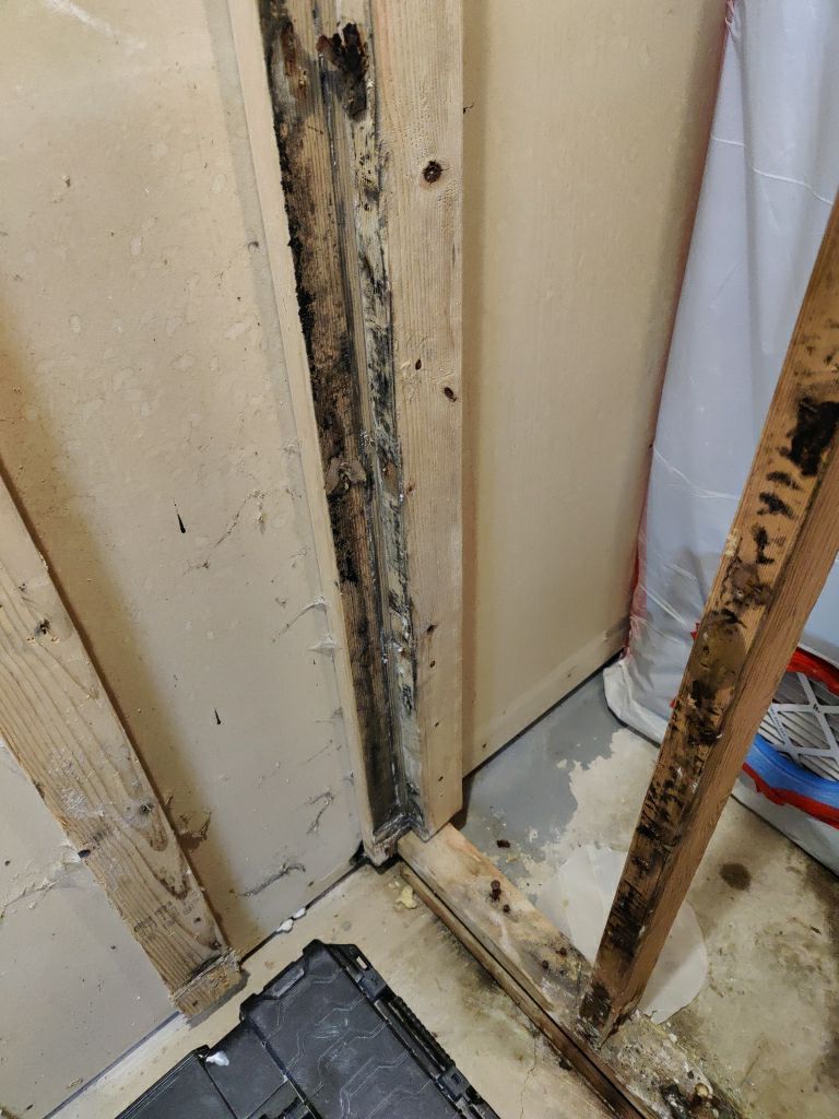 Mold Remediation by Accountable Home Services