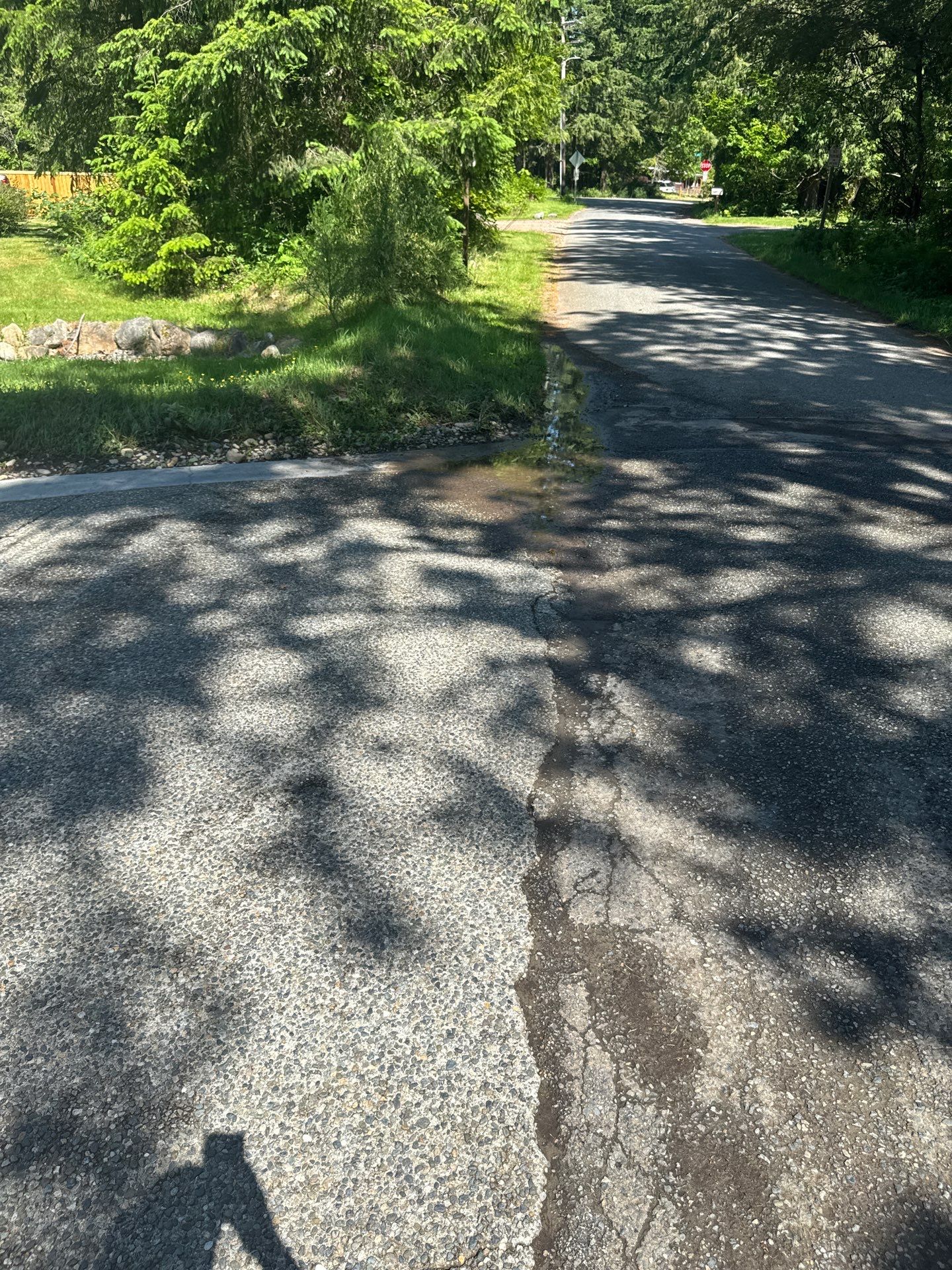 Project in North Bend by Clean Buildings