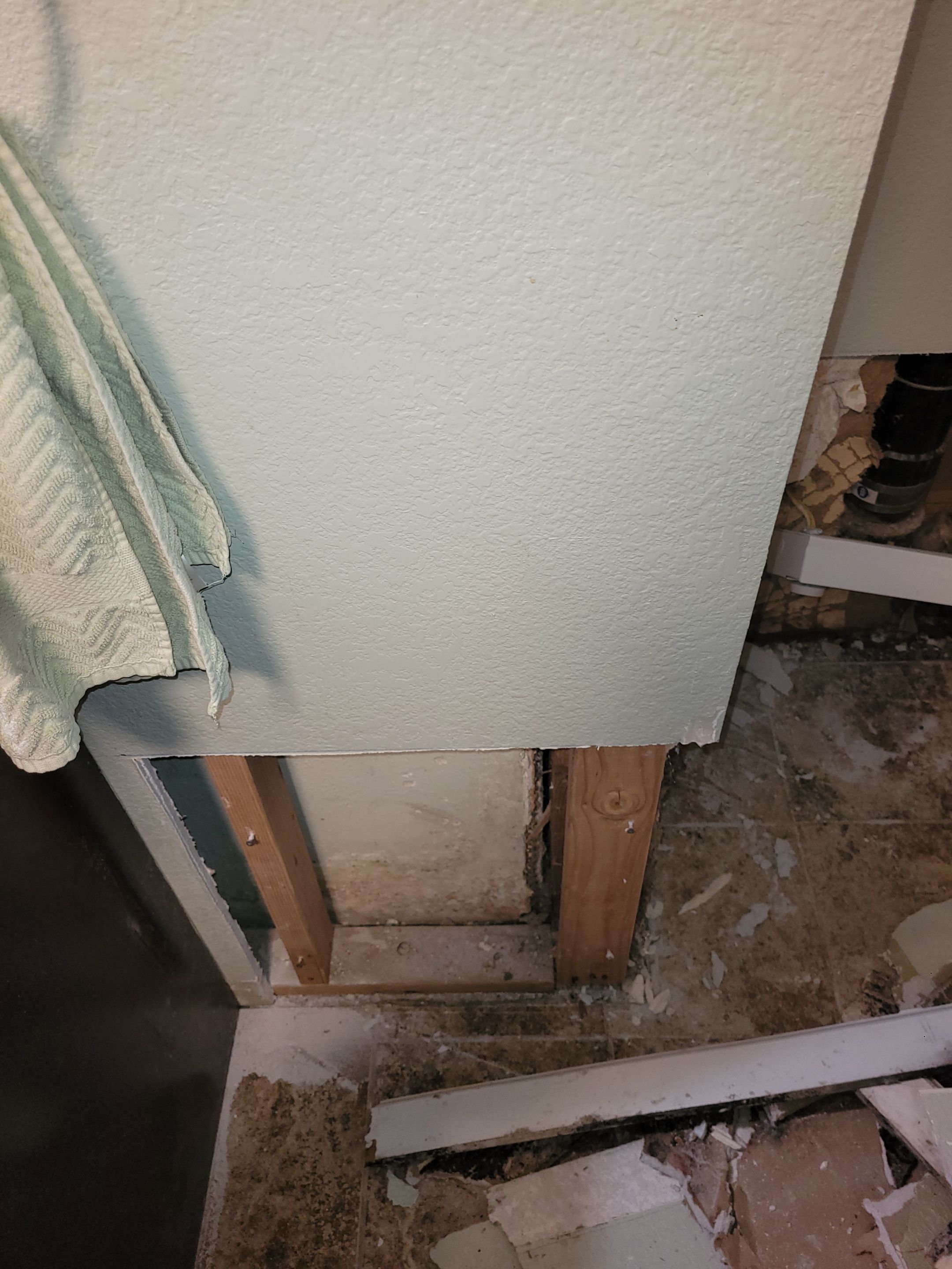 Water Damage and Mold Remediation by Accountable Home Services