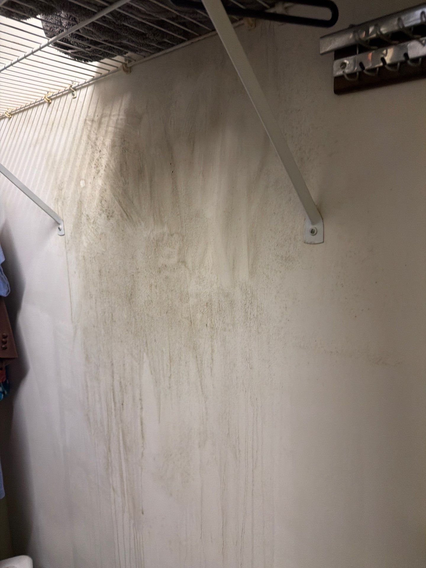 Comprehensive Mold Remediation and Moisture Control in Tamarac by SuperClean