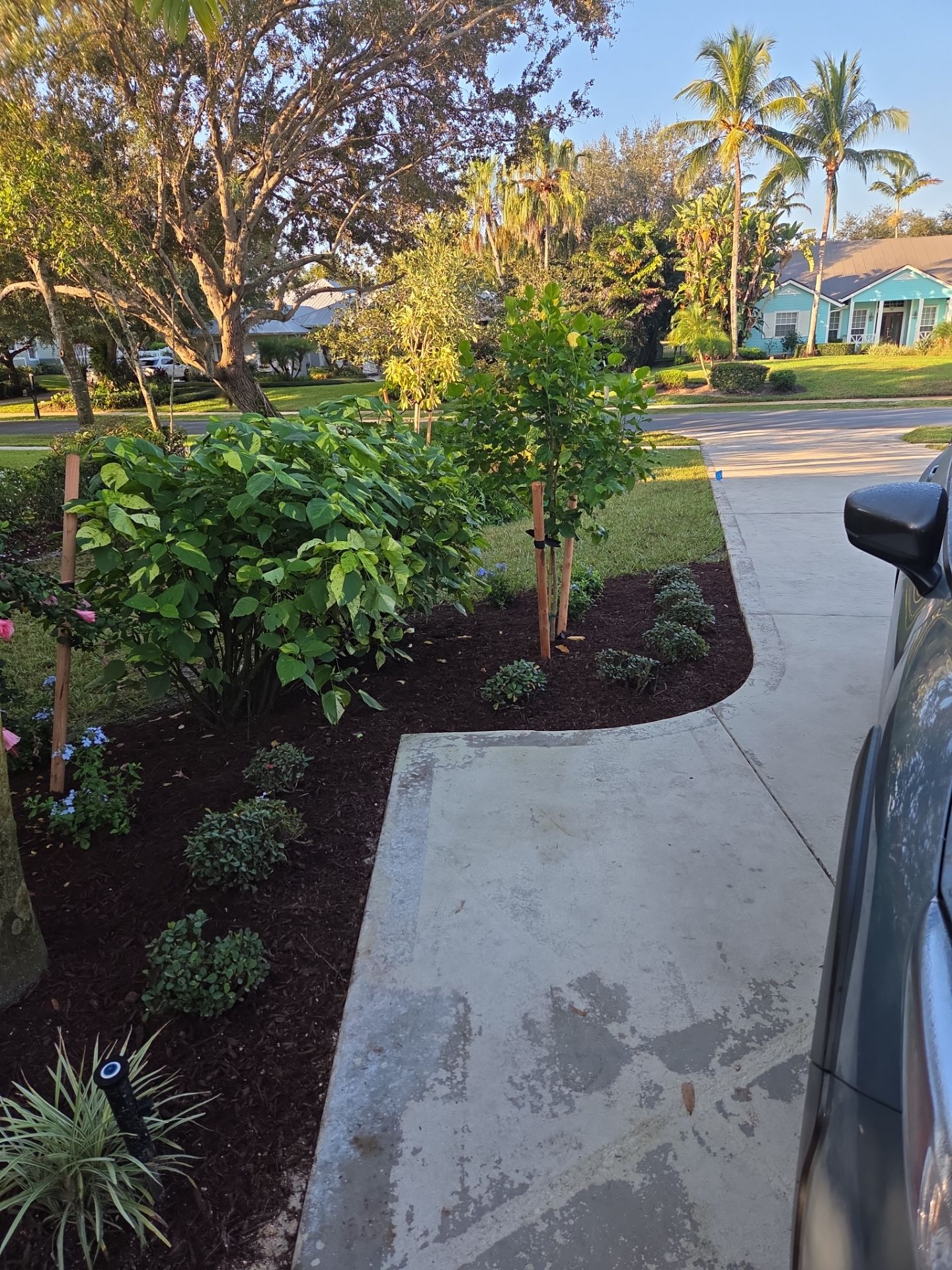 🌴 Landscape Removal and Install in Palm City by Alpha Zeta Enterprises Inc