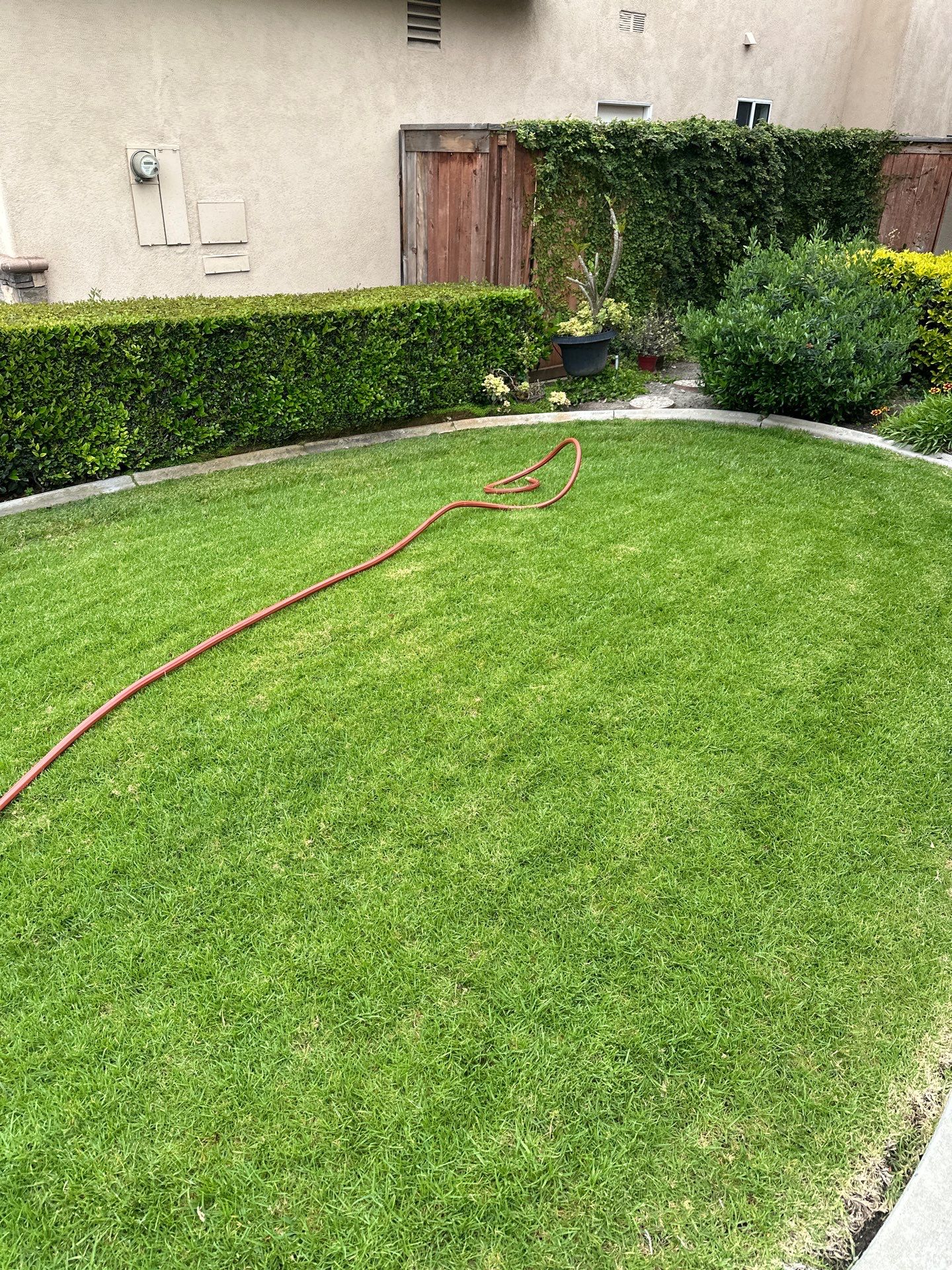 Orange County pressure washing to prepare for a gathering by Property Cleaning Experts