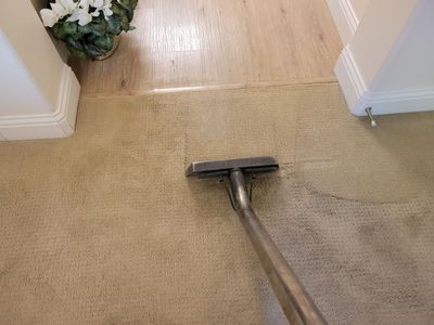 Annual Carpet Cleaning
