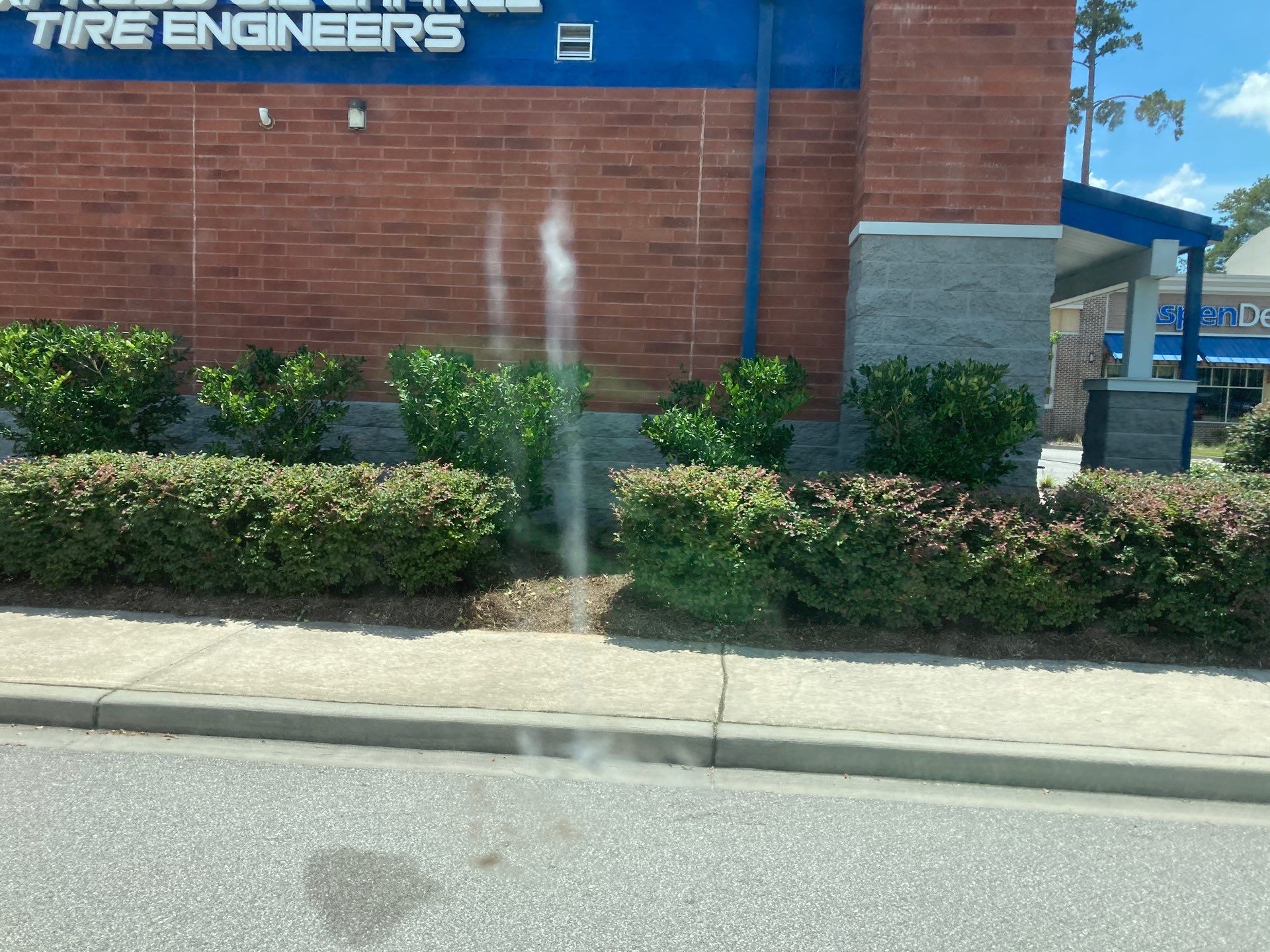 Hedge Trimming - Express Oil Summerville by Hudson Bros Lawn Care LLC