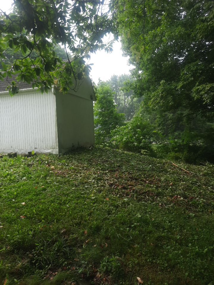 Tree Removal using Tree Removal by Mike Jones & Sons Tree Service LLC 