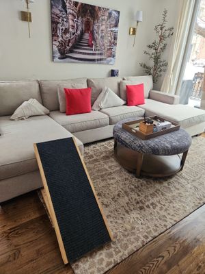 Project in Chicago