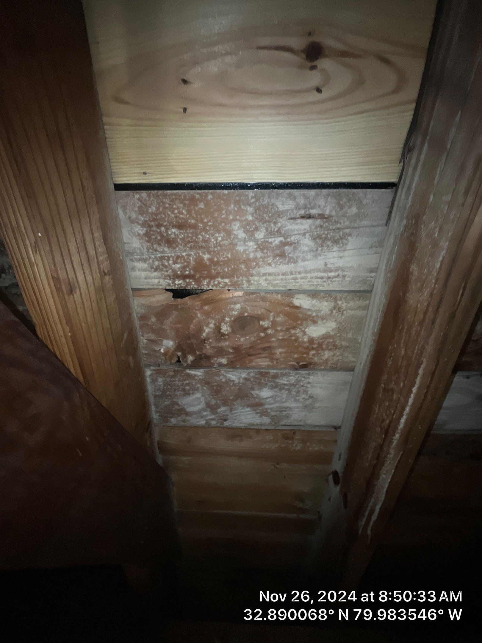 Limited Mold Remediation by EAS Environmental, LLC.