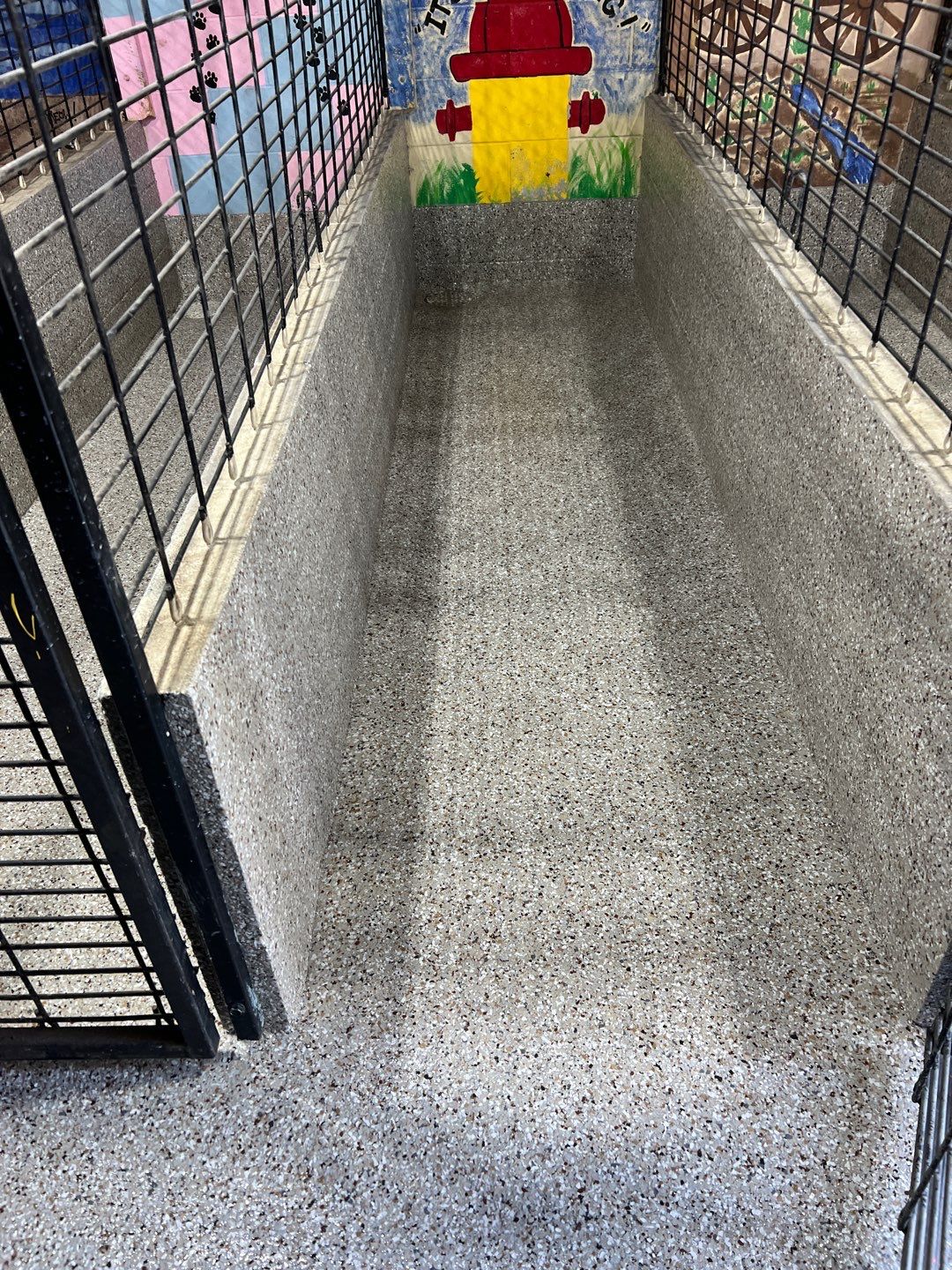 Animal Clinic by Granite Garage Floors