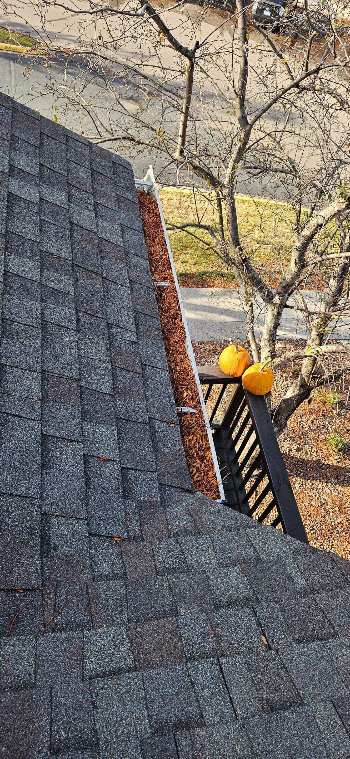 Commercial gutter cleaning Rochester before photo with filled gutters