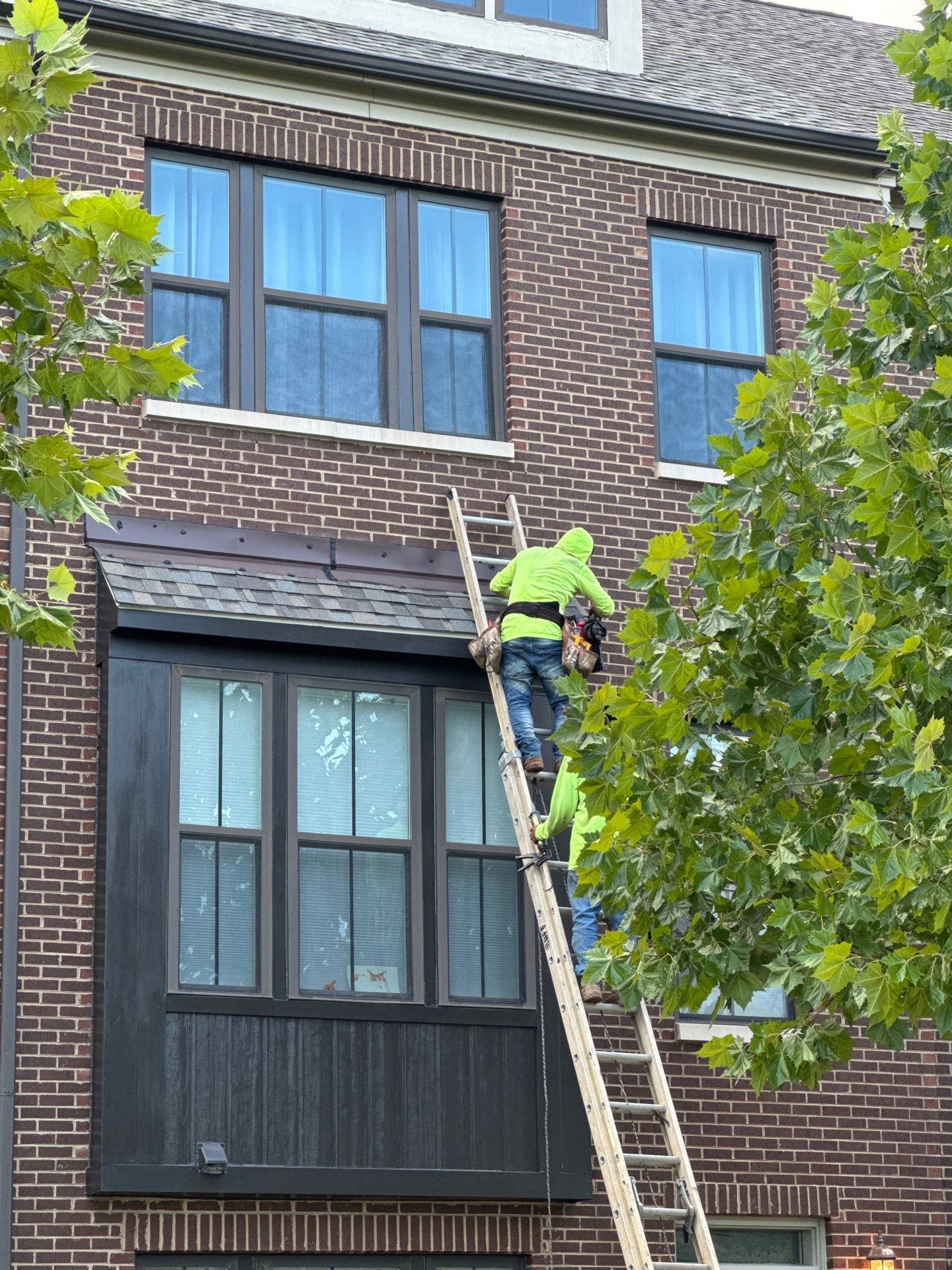 New Shingle Roof Installation  by Alpha Design Services