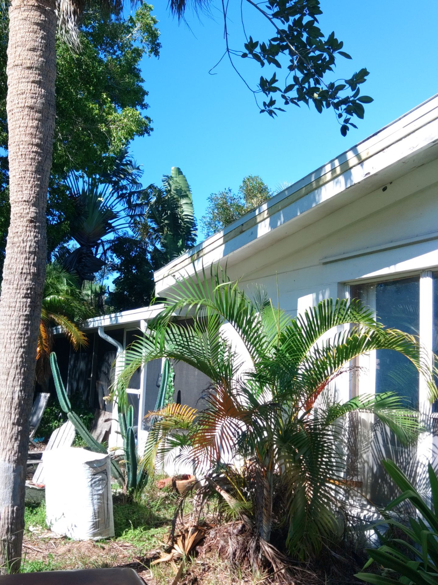 Gutter and Fascia Repair and Maintenance in Siesta Key FL by Gutter Professors