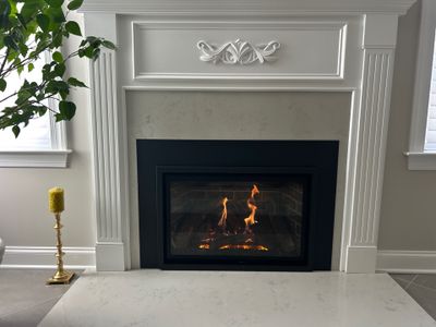 Kozy Heat Gas Insert