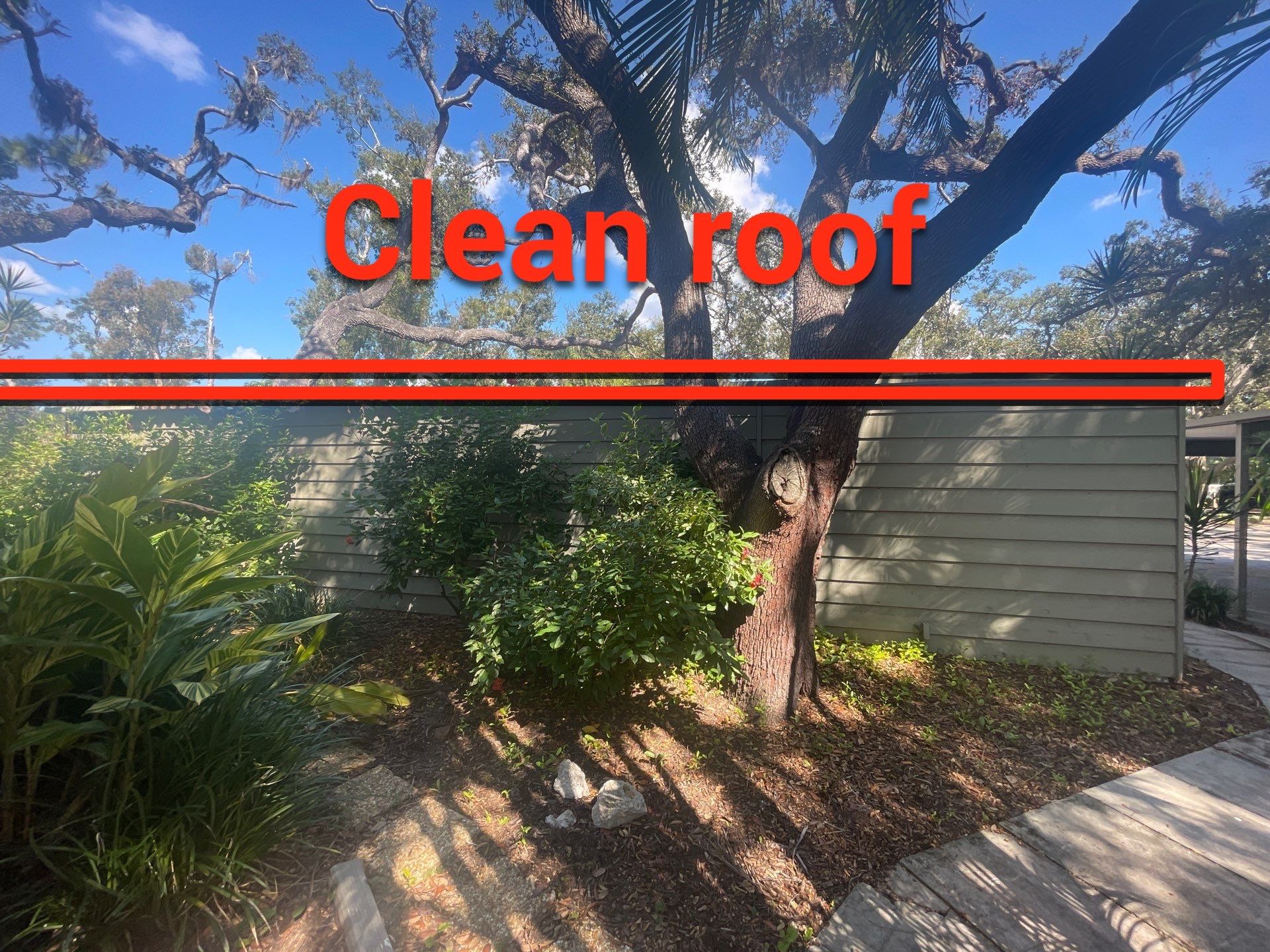 Clean Gutters and Roof in Sarasota FL by Gutter Professors