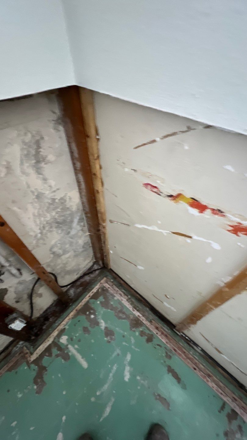 Mold Remediation by Accountable Home Services