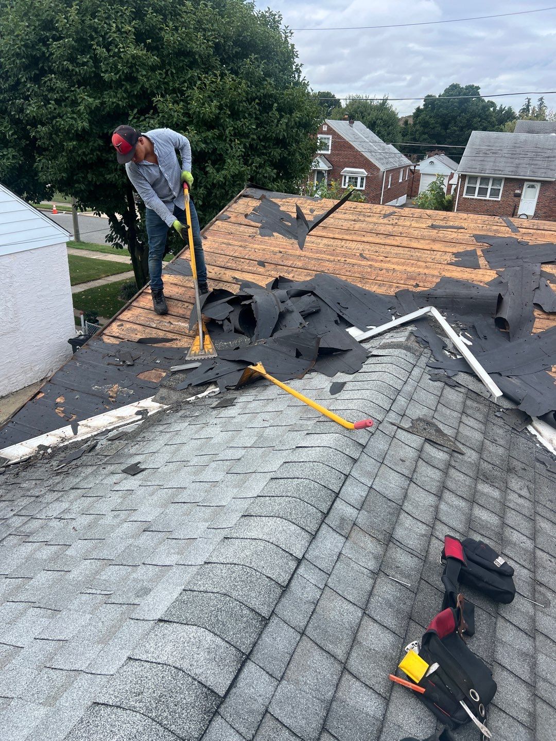 Silver Birch Shingles by Reimagine Roofing