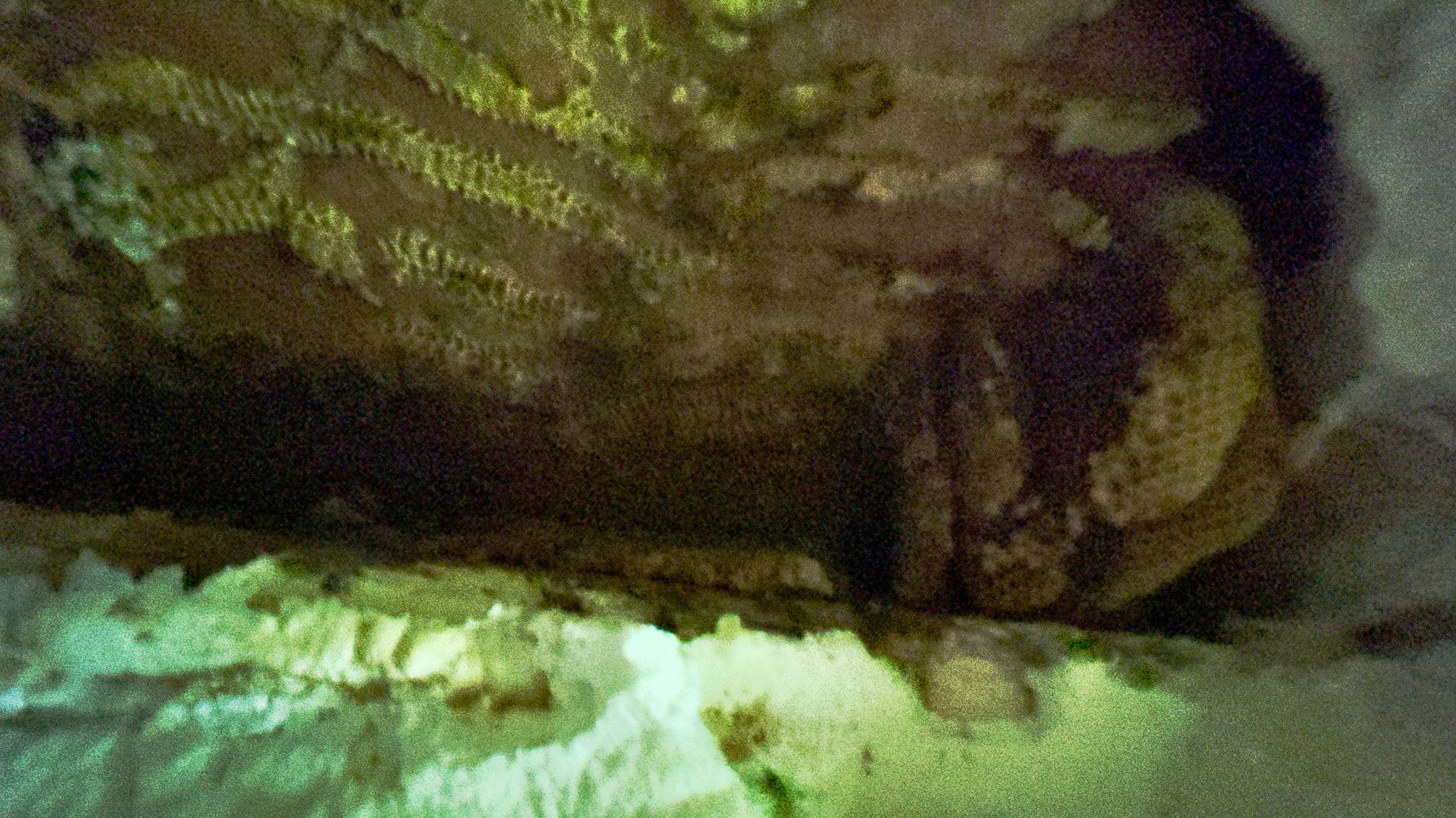 Spray Foam Chewers by Rockwall Honey Bee Company