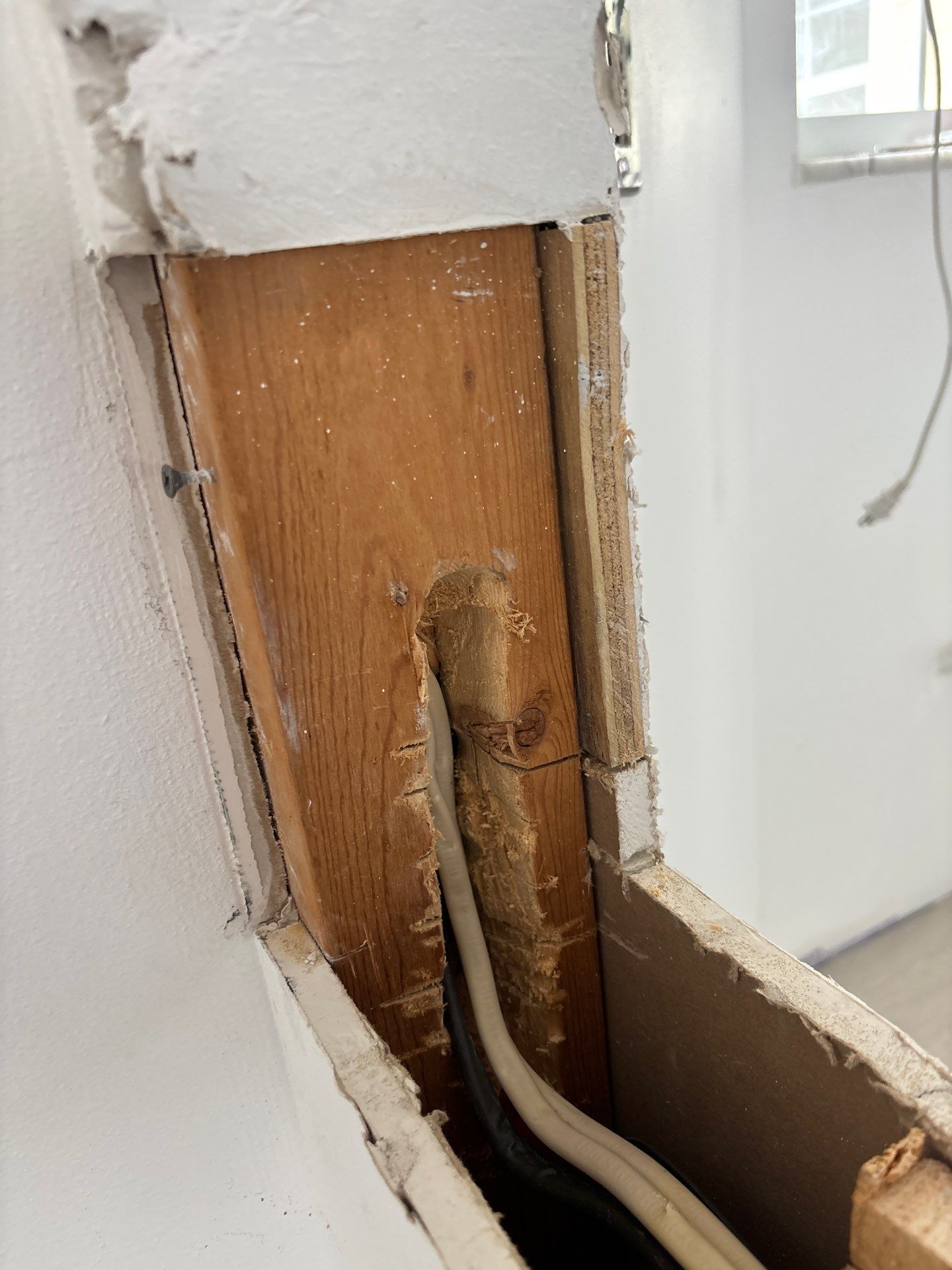 Mold Remediation + Reconstruction Bradenton by Ampm Restoration Services 