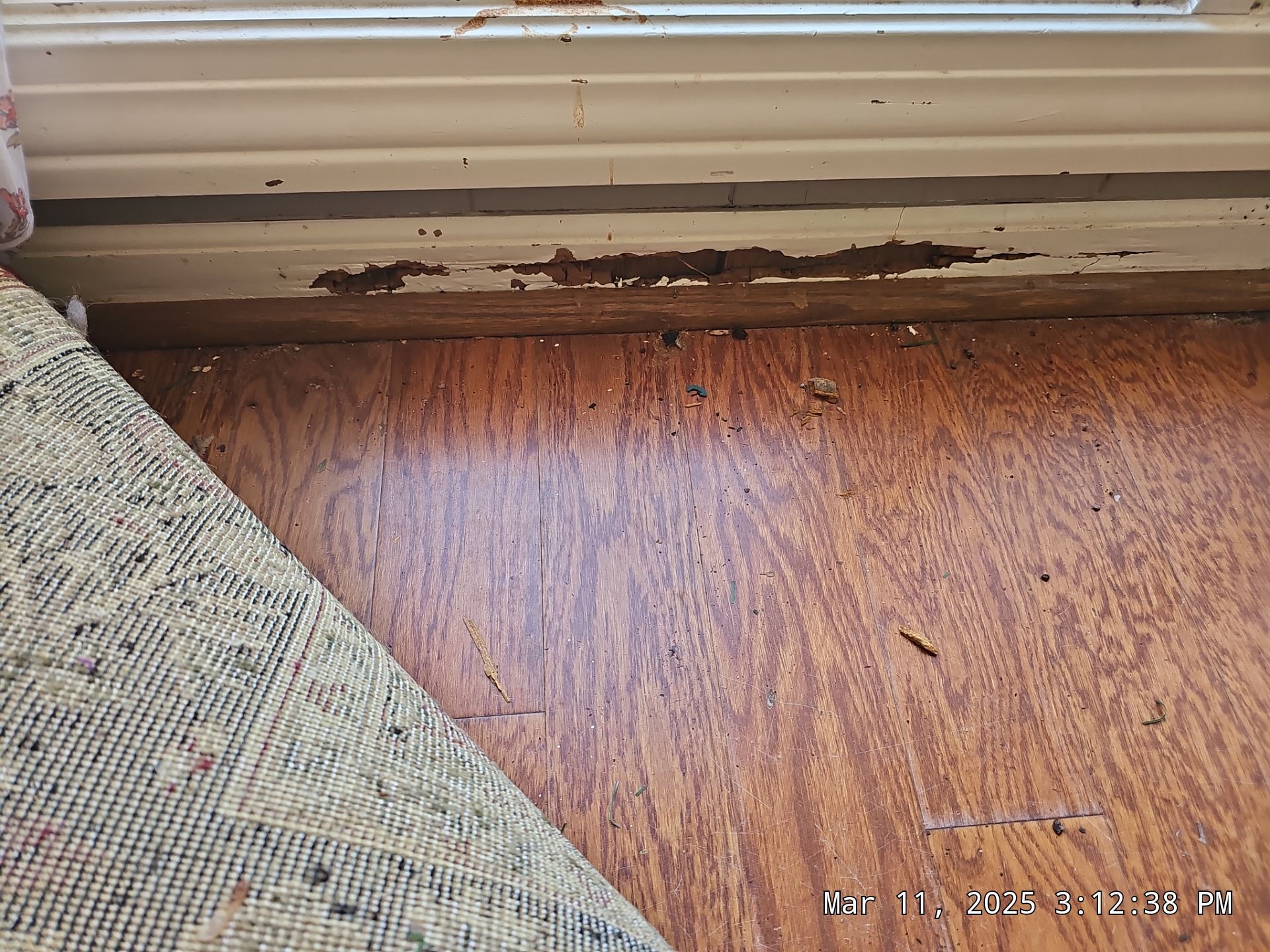 Jones Project in Birmingham by The Window Source