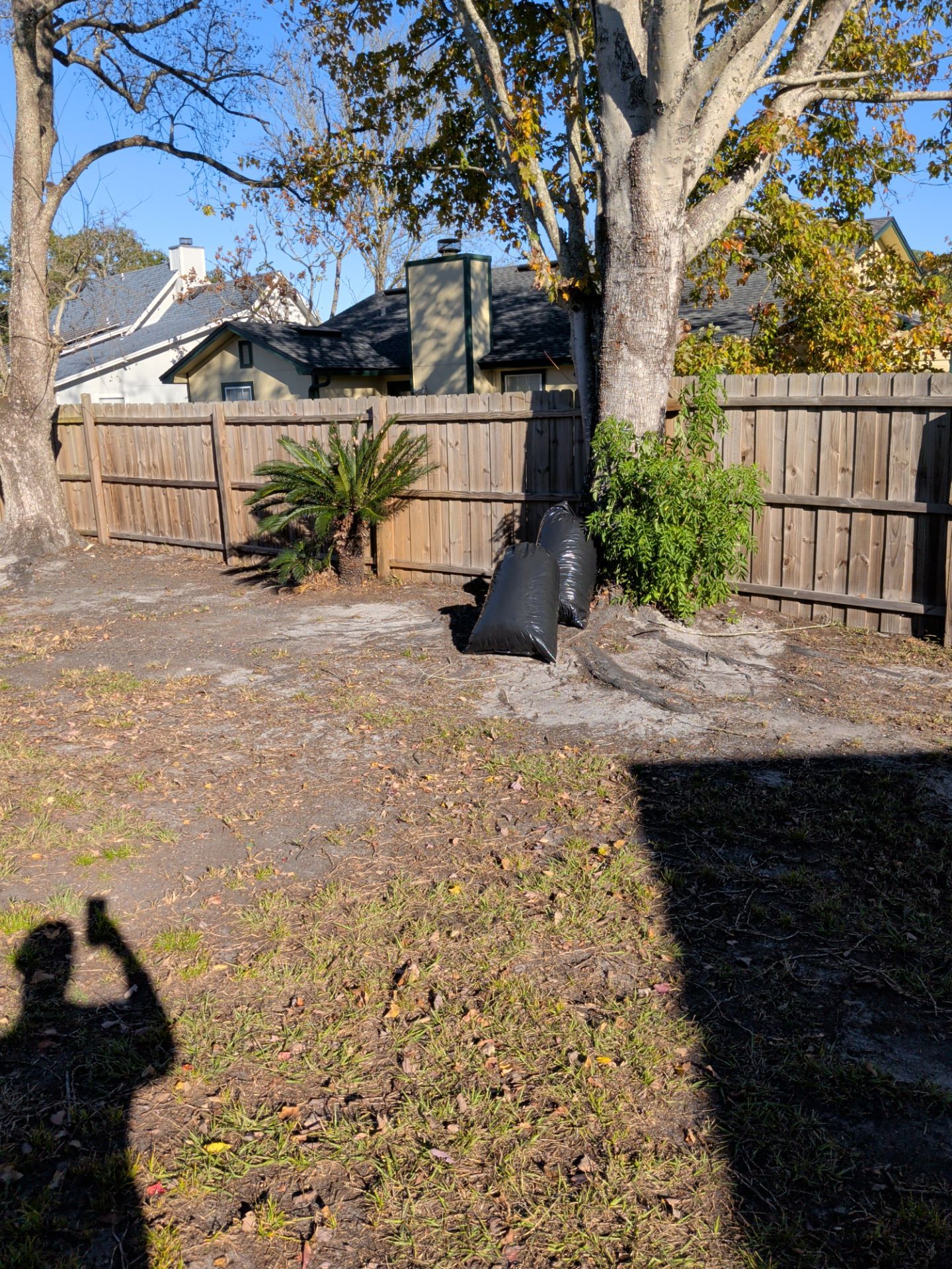 Residential Leaf Removal Service — Westside Jacksonville by Harmoni Home Services