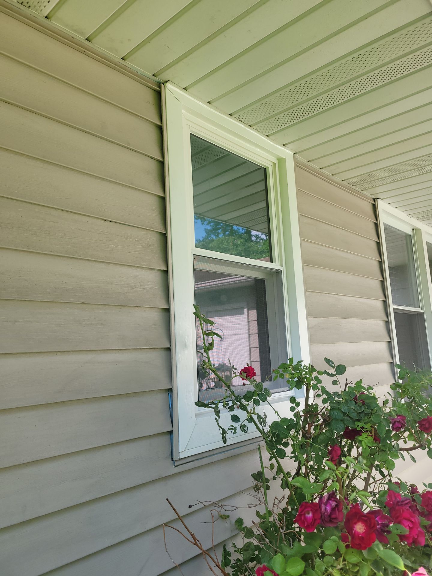 Jeannette Stewart by Silver Leaf Contracting 