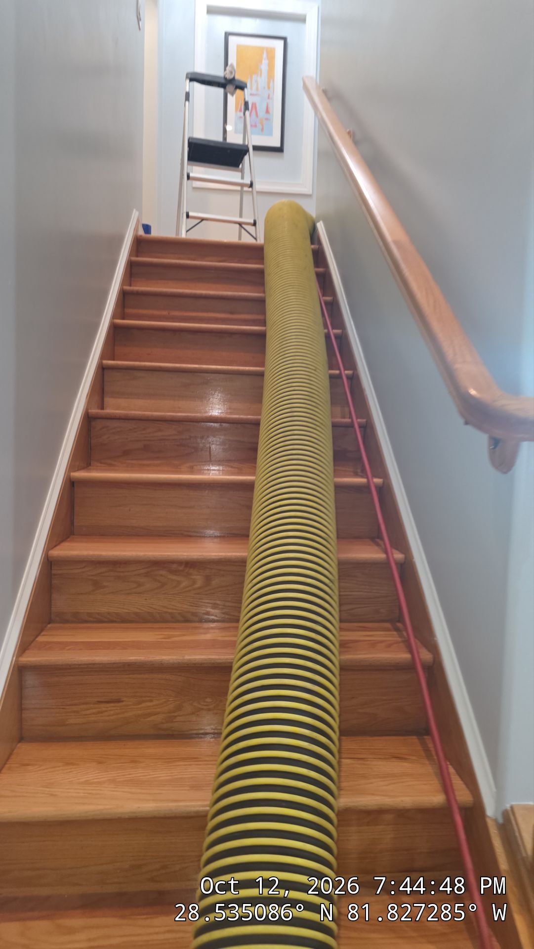 Air Duct Cleaning & Component Service in Groveland by Hygienic Air, Inc