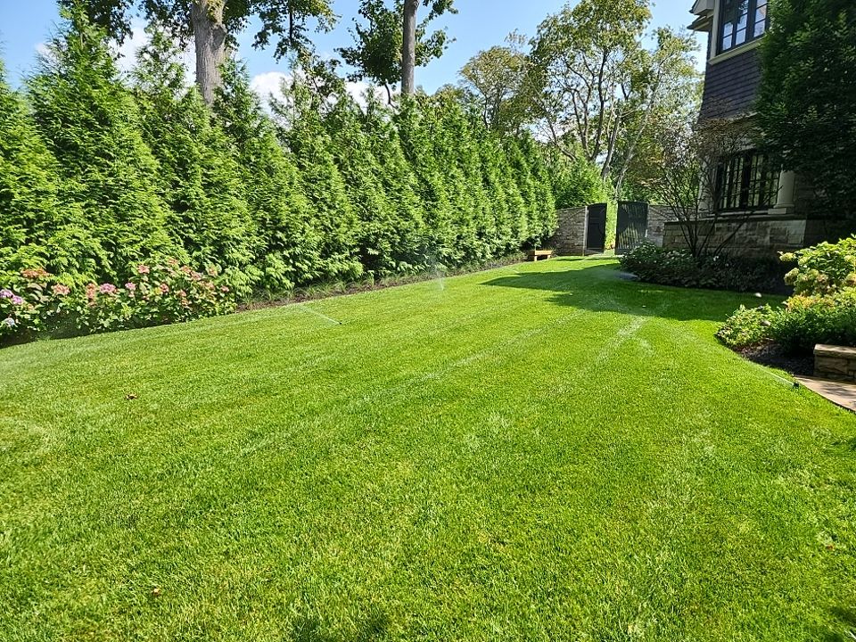 Landscape Design by elegant Lawns