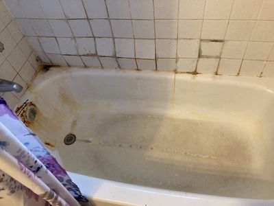 Mold Remediation in Bathroom