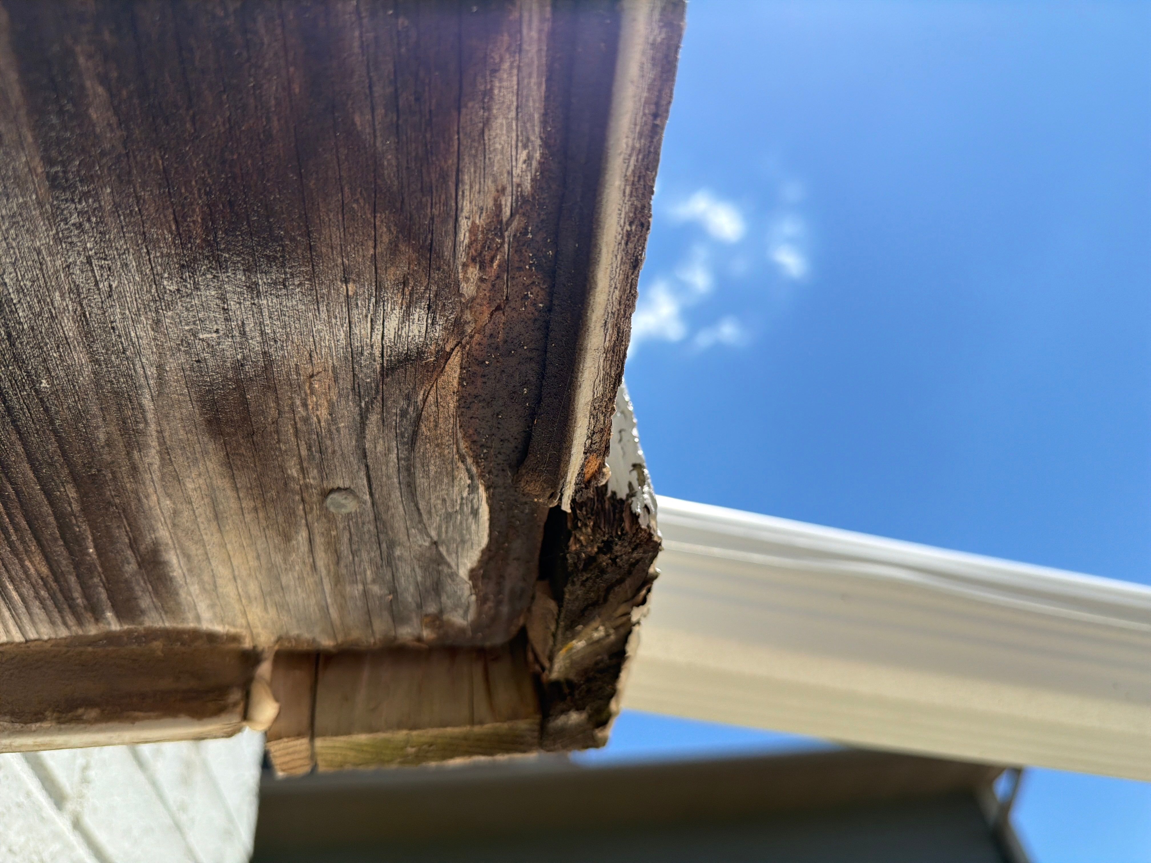 Full Exterior Painting and Siding Refresh in Hartford by Select Painting, Coatings & Garage Cabinets