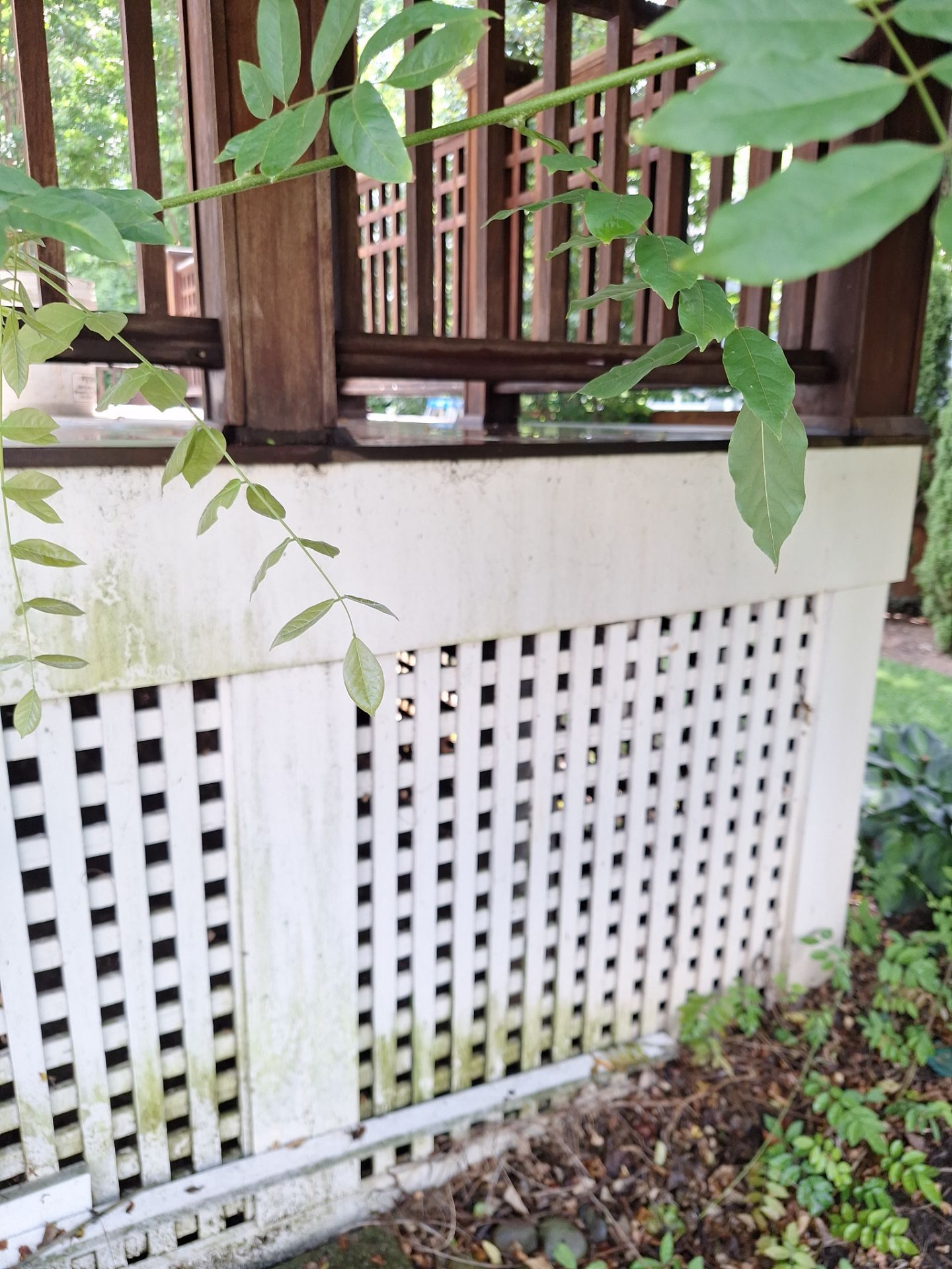 Deck Refinishing Arlington, VA by My Painter 