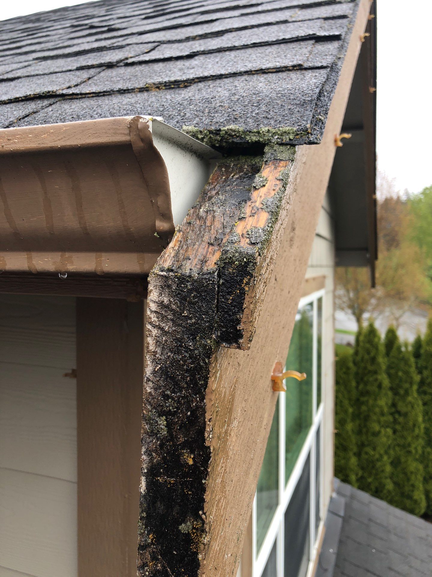 Project in Bellingham by Peaks and Valleys Construction
