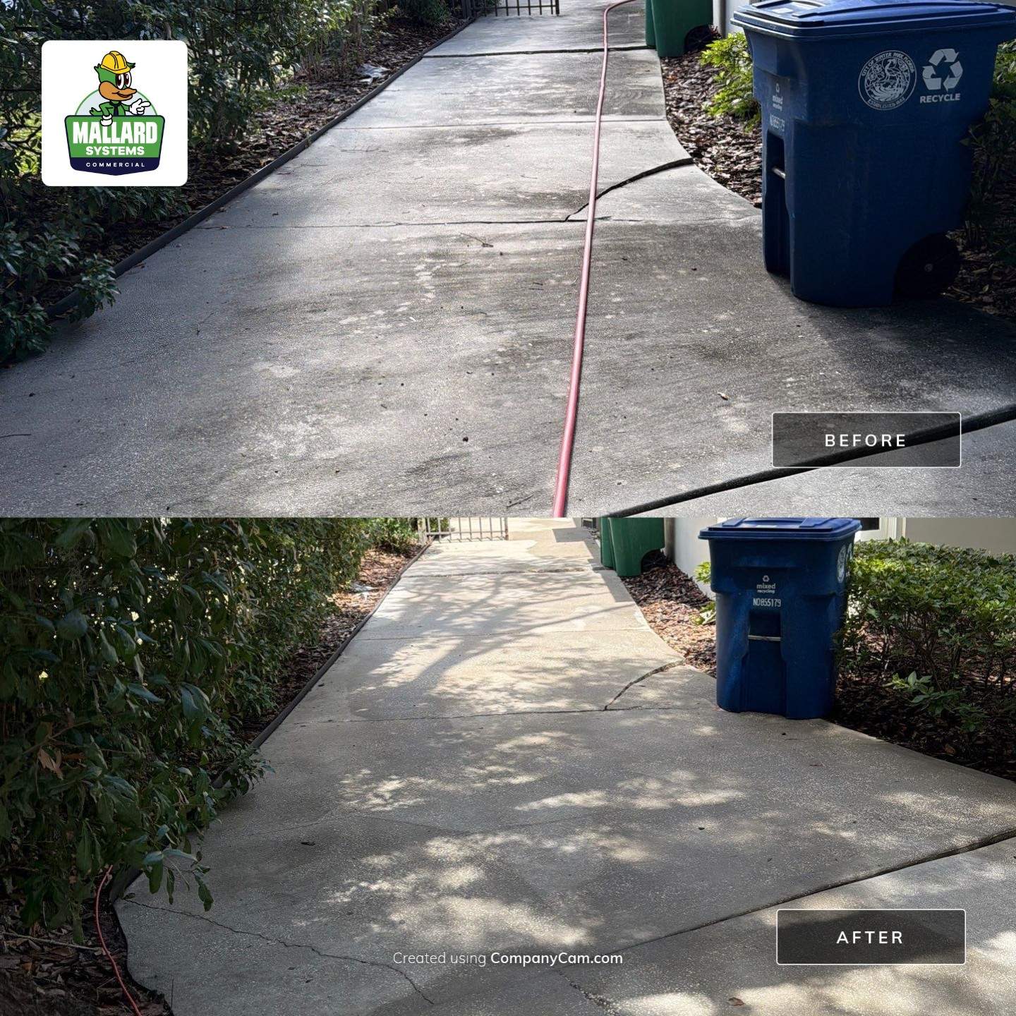Roof, Exterior, Gutter Clean Out, Pool Deck, and Driveway Cleaning by Mallard Systems