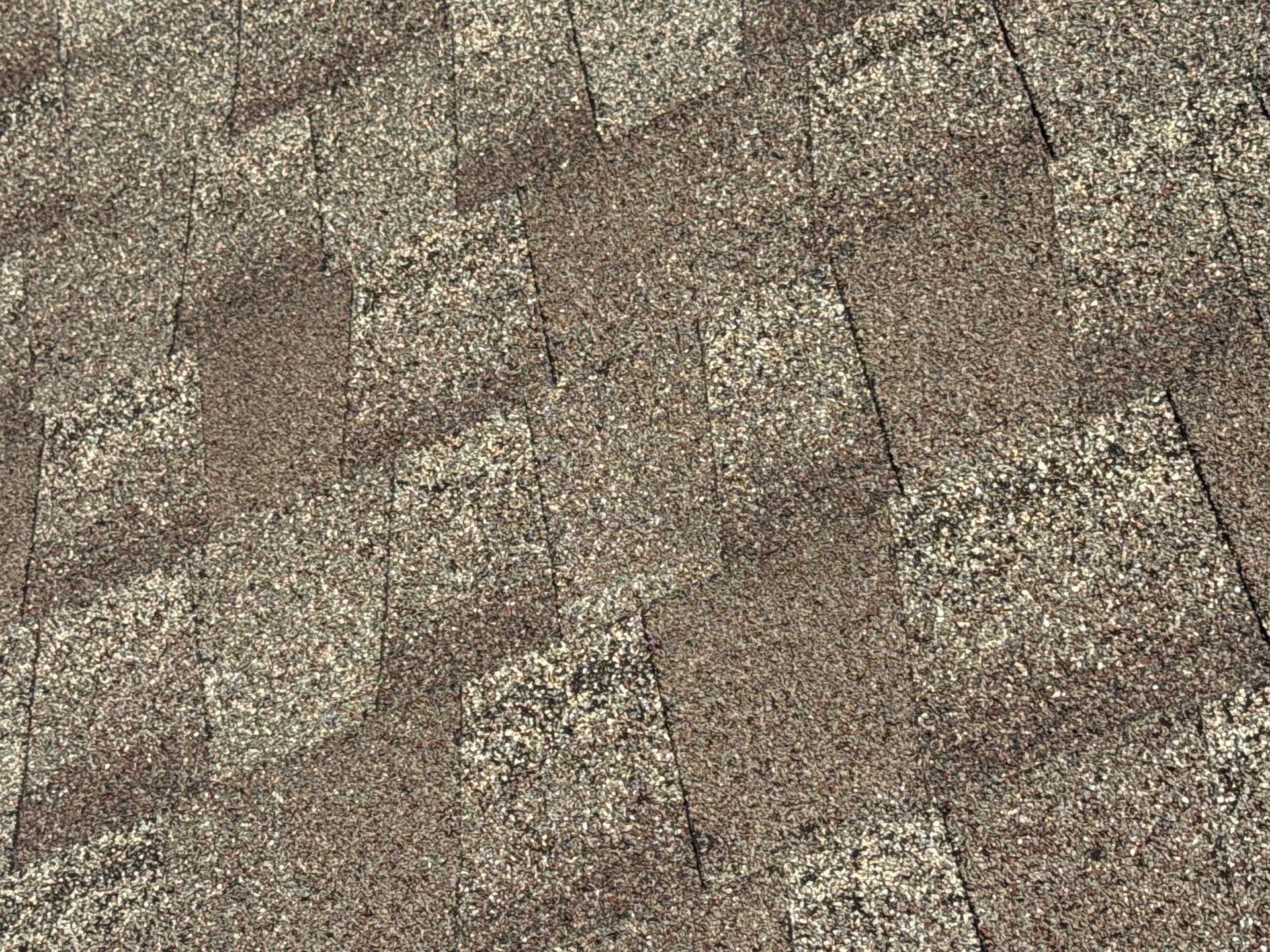 Margaret Jenkins by United Contracting and Roofing