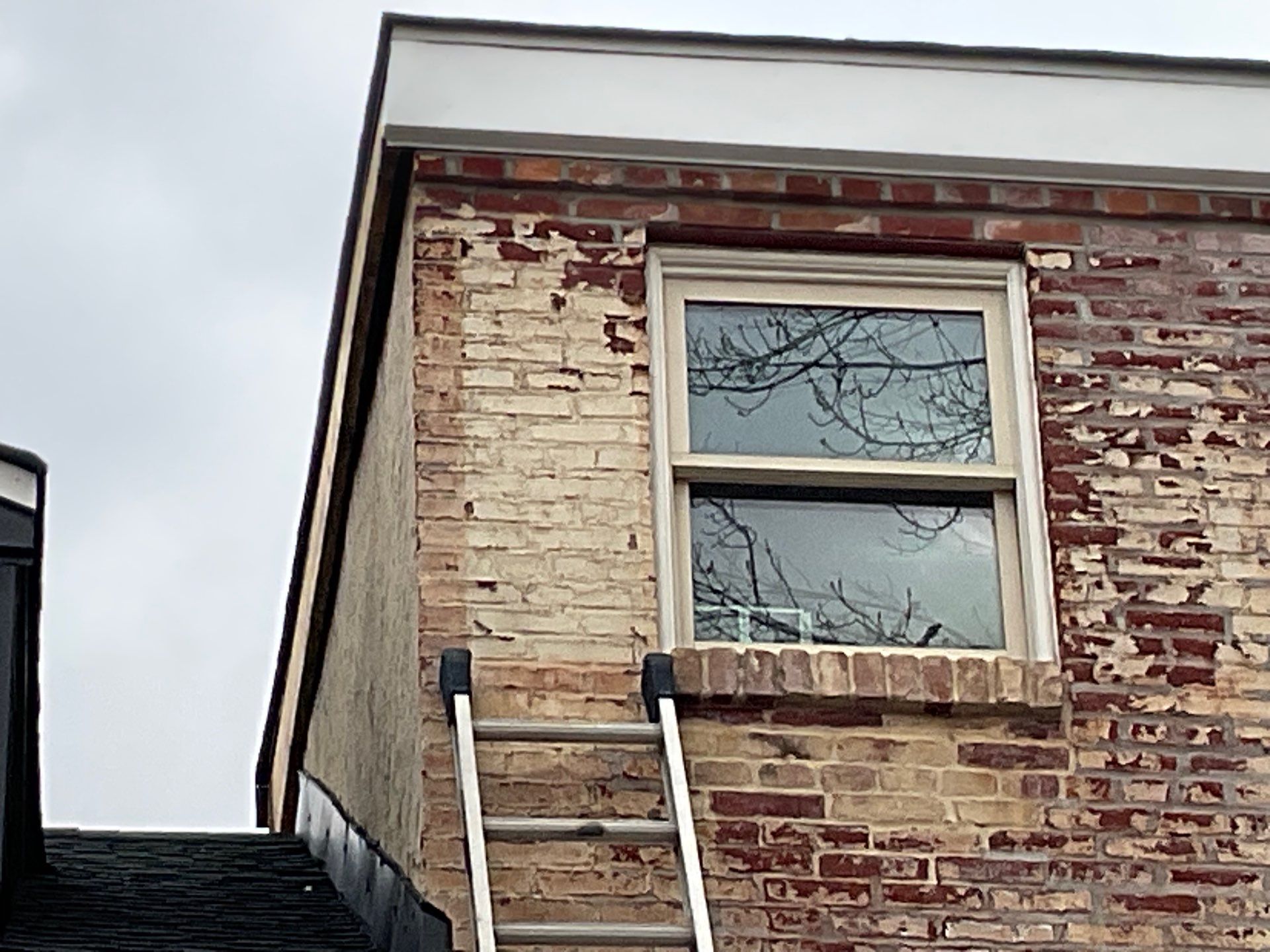 Residential Roofing Installation using Landmark Shingles by Alpha Design Services