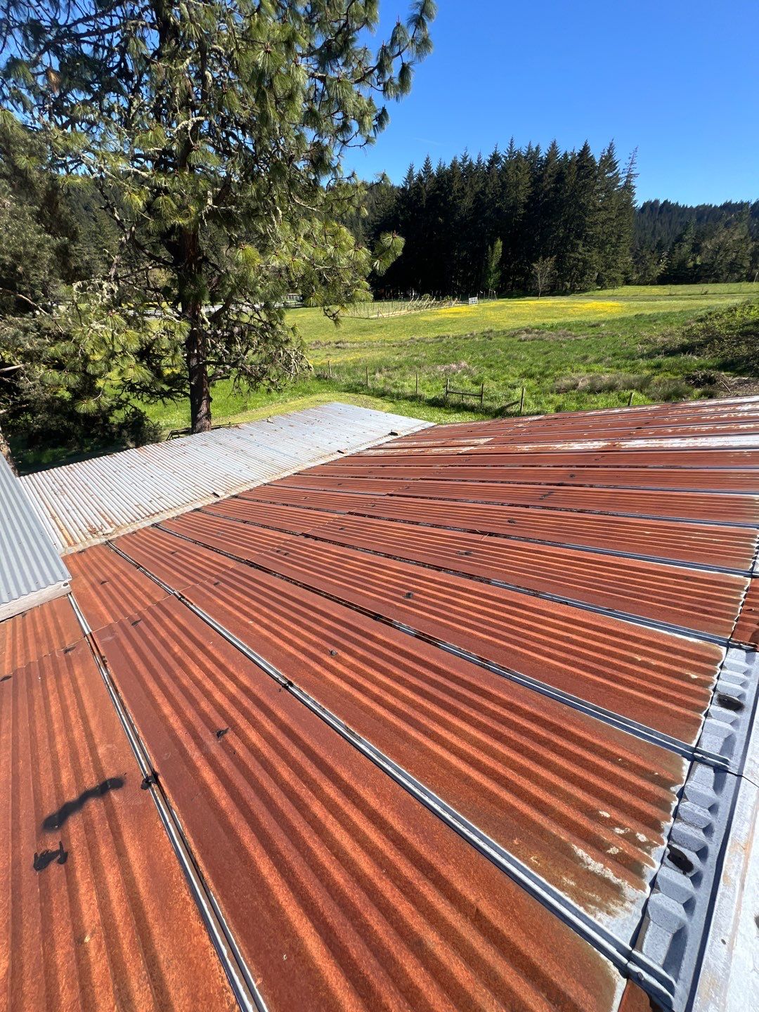 Residential Roofing Installation using IKO Dynasty (Color: Frostone Grey) by Orezona Building & Roofing Company, Inc.