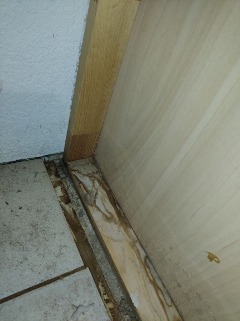 Mold Remediation in Kitchen by Accountable Home Services