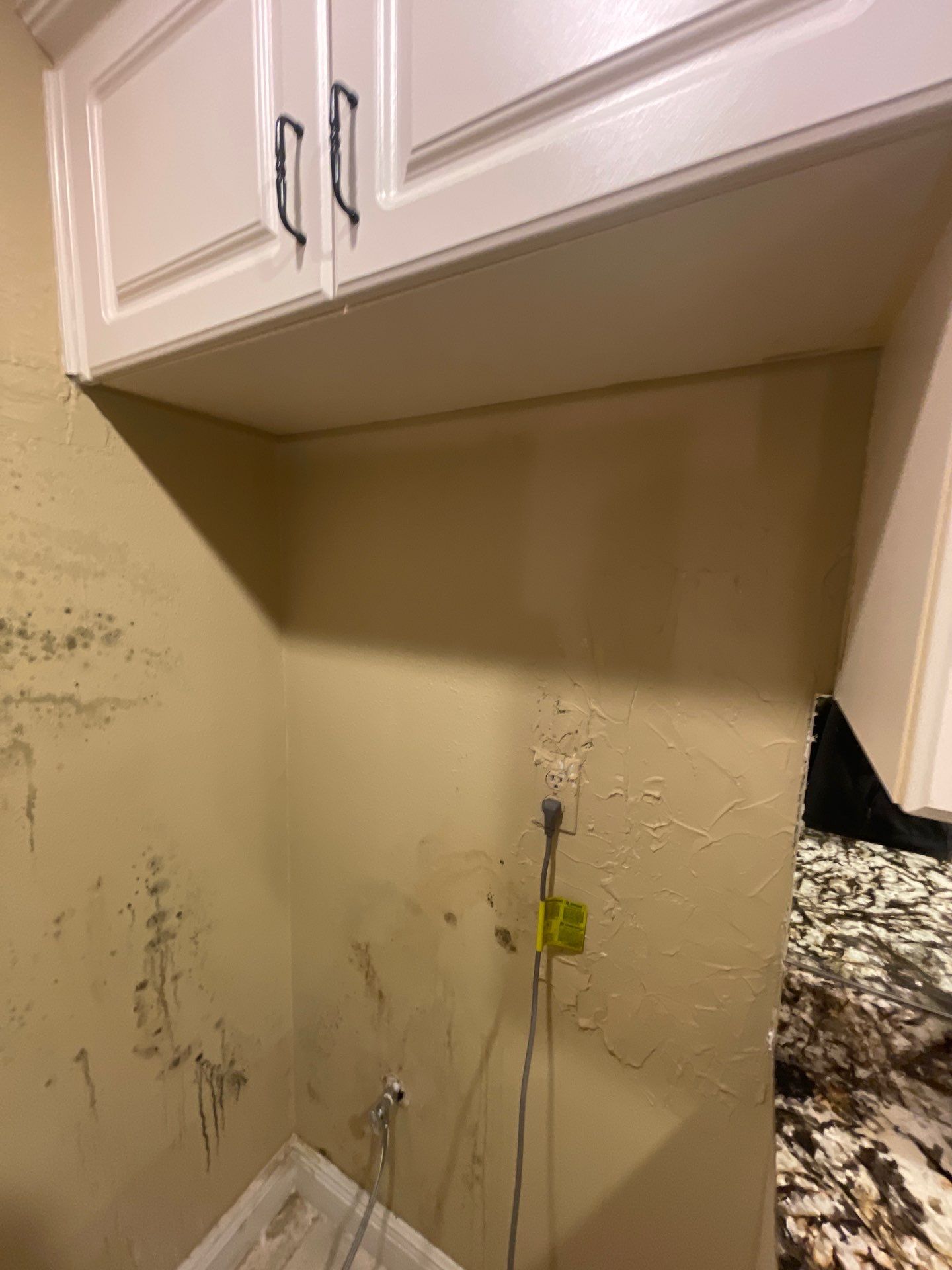 Mold remediation and rebuild of kitchen and living areas by Bay Coast Restoration 