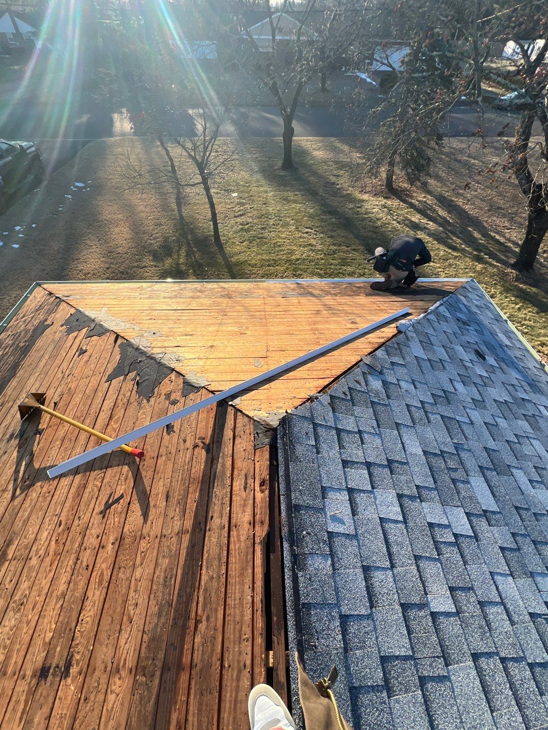 Silver Birch Shingles by Reimagine Roofing