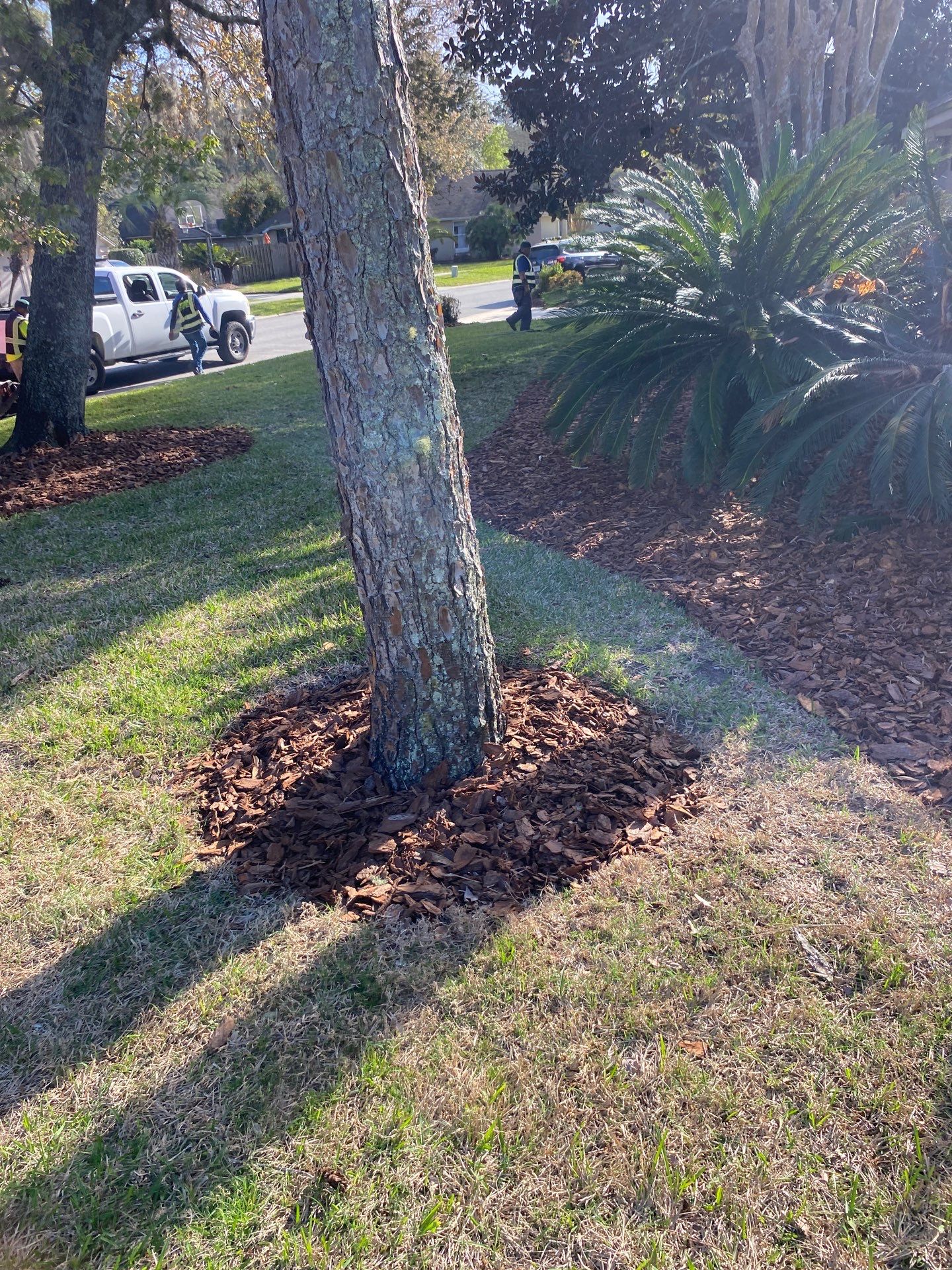 Residential | Landscaping by ProGreen Services