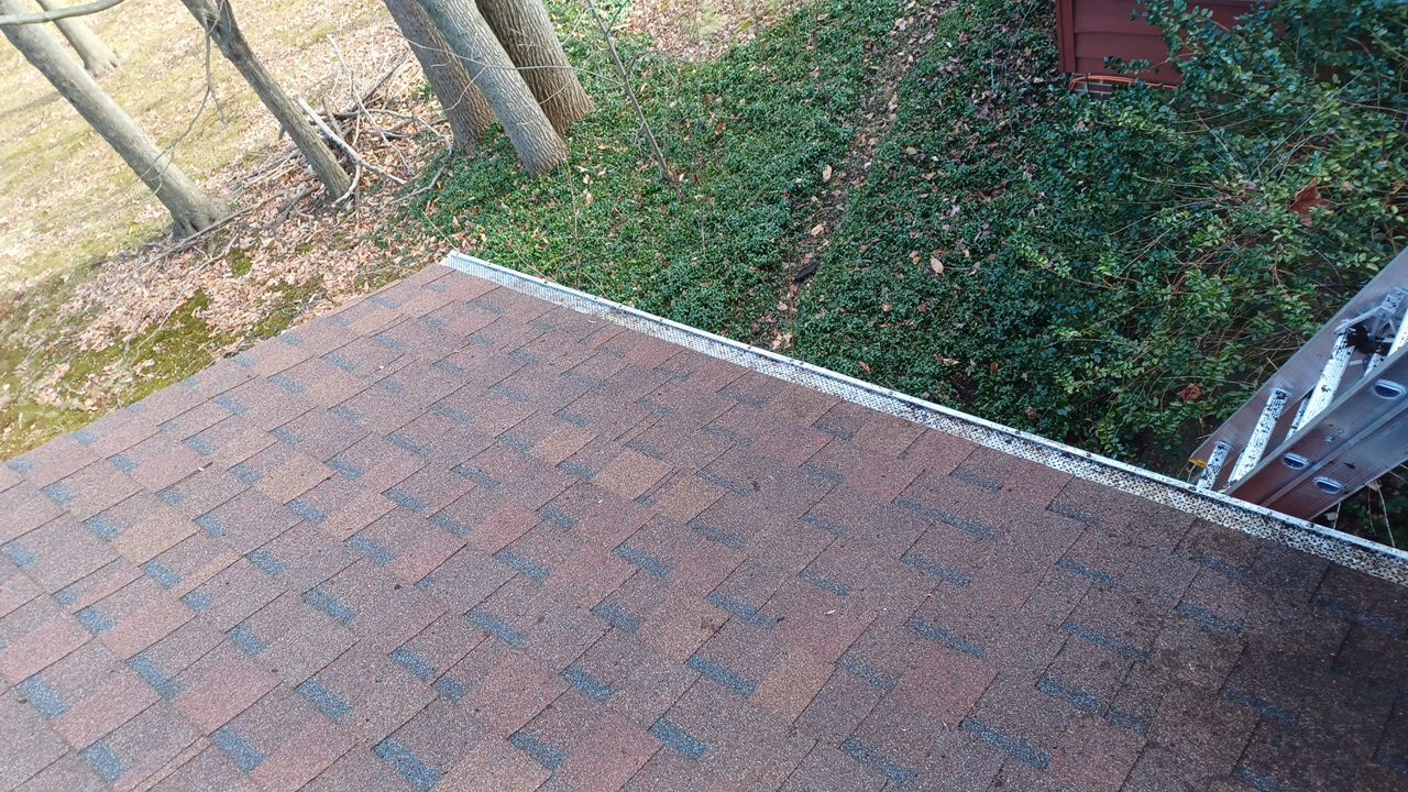 Kim Lazor by Silver Leaf Contracting 