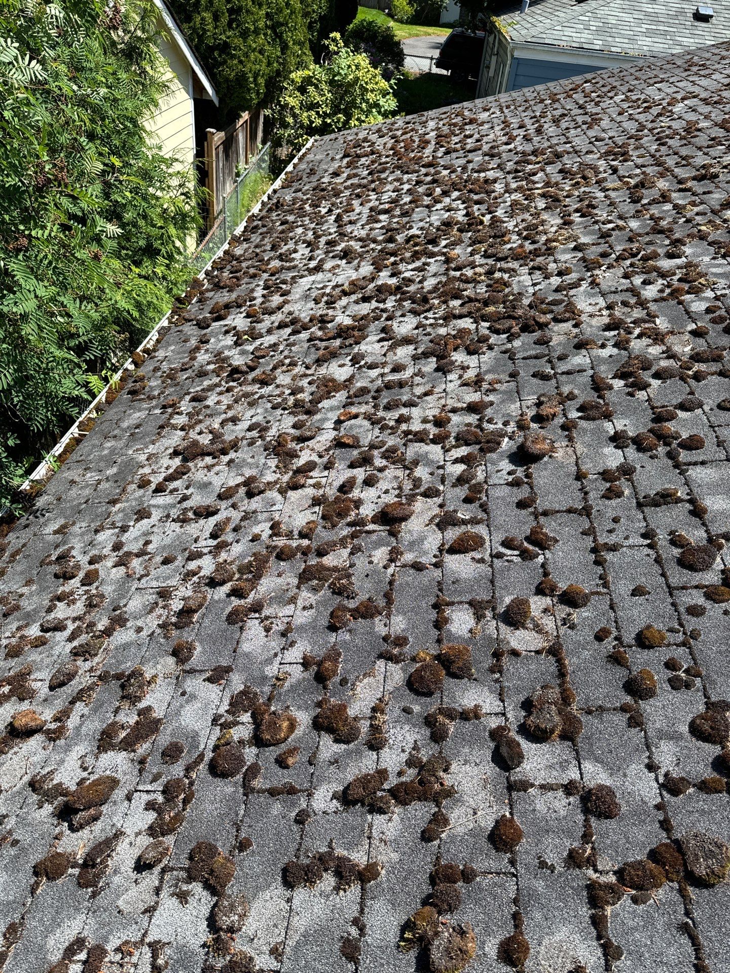 Project by Connolly Construction Company by Connolly Construction Company